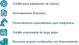 Crédito para adquisición de activos, arrendamiento financiero, financiamiento especializado para maquinaria, crédito empresarial de largo plazo y recursos propios combinados con financiamiento.