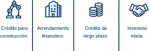 Crédito para construcción, arrendamiento financiero, crédito de largo plazo e inversión mixta.