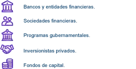 Bancos y entidades financieras, sociedades financieras, programas gubernamentales, inversionistas privados y fondos de capital.